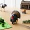 Safari Ltd® Turkey